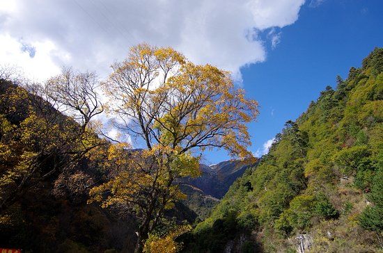 Miyaluo Scenic Resort